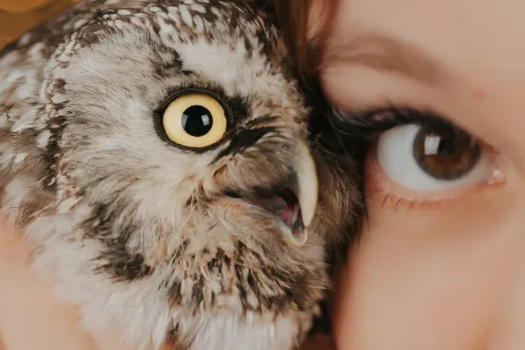 Casino Welcome Bingo Soporte